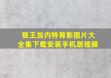 狼王加内特背影图片大全集下载安装手机版视频