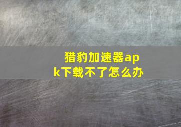 猎豹加速器apk下载不了怎么办