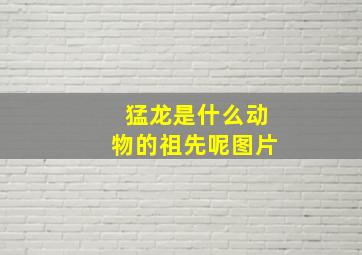 猛龙是什么动物的祖先呢图片