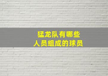 猛龙队有哪些人员组成的球员