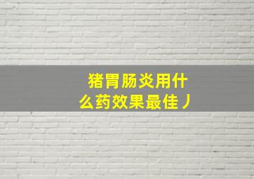 猪胃肠炎用什么药效果最佳丿