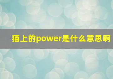 猫上的power是什么意思啊