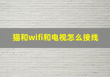 猫和wifi和电视怎么接线