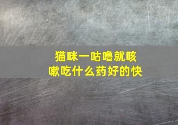 猫咪一咕噜就咳嗽吃什么药好的快