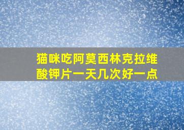 猫咪吃阿莫西林克拉维酸钾片一天几次好一点