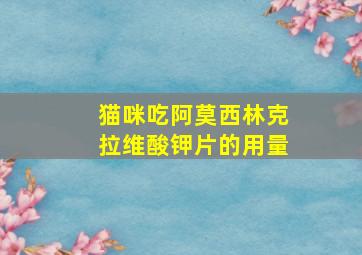 猫咪吃阿莫西林克拉维酸钾片的用量