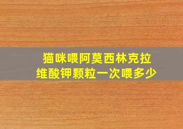 猫咪喂阿莫西林克拉维酸钾颗粒一次喂多少