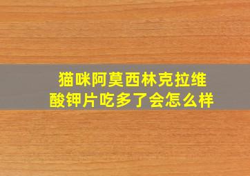 猫咪阿莫西林克拉维酸钾片吃多了会怎么样