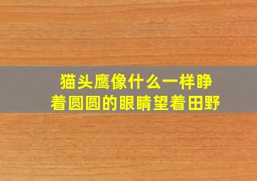 猫头鹰像什么一样睁着圆圆的眼睛望着田野