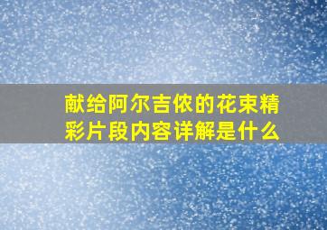 献给阿尔吉侬的花束精彩片段内容详解是什么