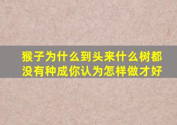 猴子为什么到头来什么树都没有种成你认为怎样做才好