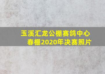 玉溪汇龙公棚赛鸽中心春棚2020年决赛照片