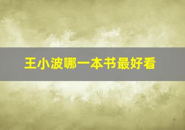 王小波哪一本书最好看