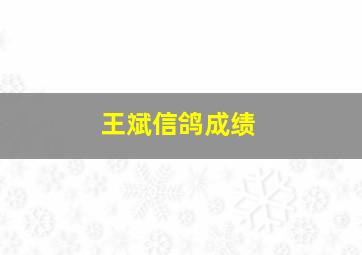 王斌信鸽成绩