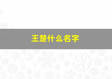 王楚什么名字