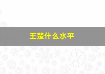 王楚什么水平