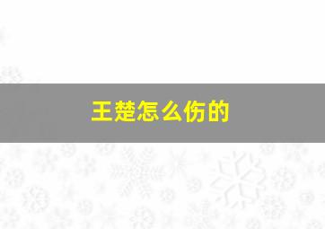 王楚怎么伤的