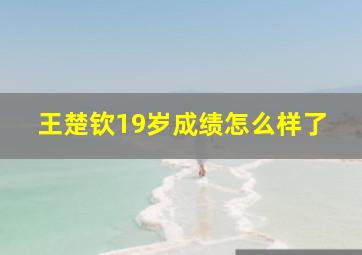 王楚钦19岁成绩怎么样了