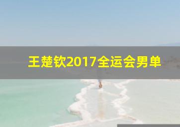 王楚钦2017全运会男单