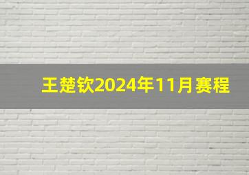 王楚钦2024年11月赛程