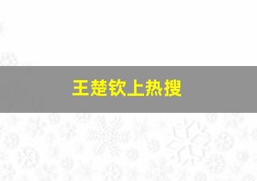 王楚钦上热搜