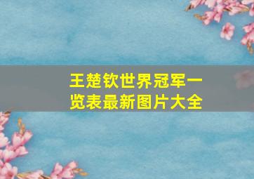 王楚钦世界冠军一览表最新图片大全