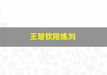 王楚钦陪练刘