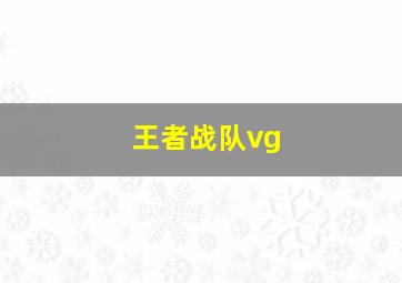 王者战队vg