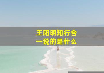 王阳明知行合一说的是什么