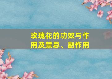 玫瑰花的功效与作用及禁忌、副作用