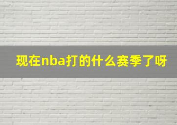 现在nba打的什么赛季了呀