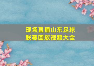 现场直播山东足球联赛回放视频大全