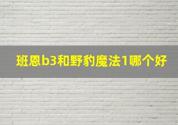 班恩b3和野豹魔法1哪个好