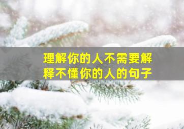 理解你的人不需要解释不懂你的人的句子