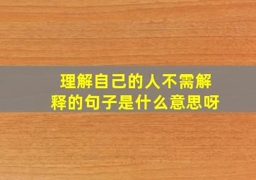 理解自己的人不需解释的句子是什么意思呀