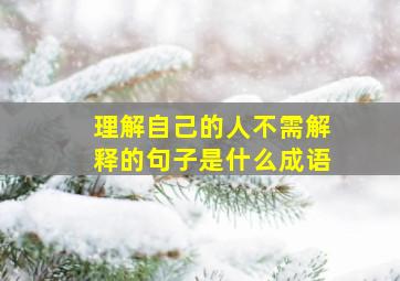 理解自己的人不需解释的句子是什么成语