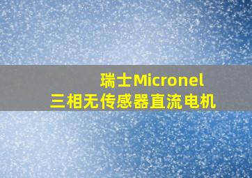 瑞士Micronel三相无传感器直流电机