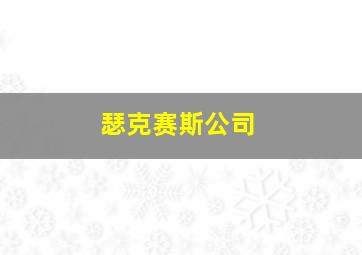 瑟克赛斯公司