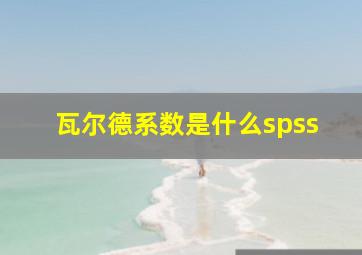 瓦尔德系数是什么spss