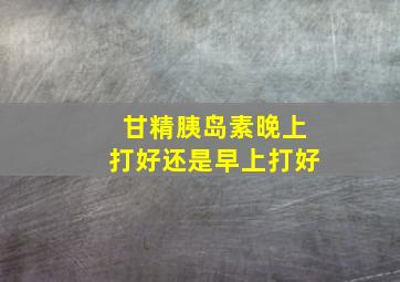 甘精胰岛素晚上打好还是早上打好