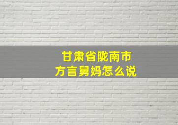 甘肃省陇南市方言舅妈怎么说