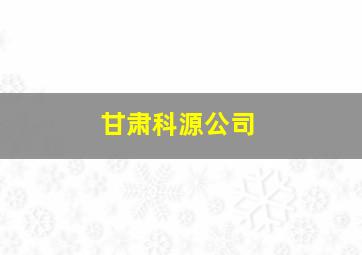 甘肃科源公司