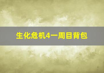 生化危机4一周目背包