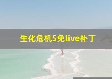 生化危机5免live补丁