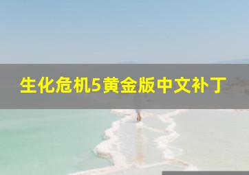 生化危机5黄金版中文补丁