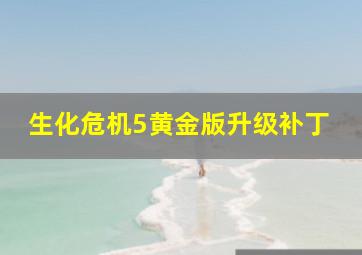 生化危机5黄金版升级补丁