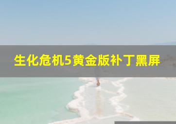 生化危机5黄金版补丁黑屏