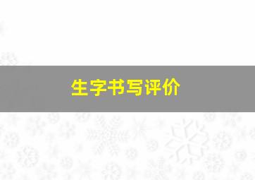 生字书写评价