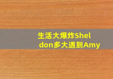 生活大爆炸Sheldon多大遇到Amy