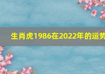 生肖虎1986在2022年的运势